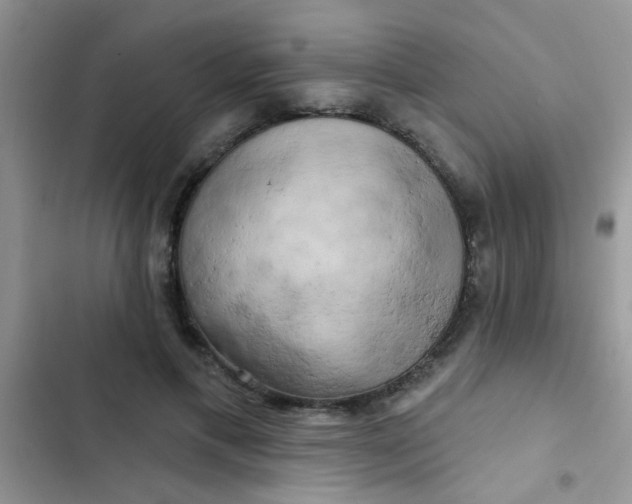 X0000102540597200808221931