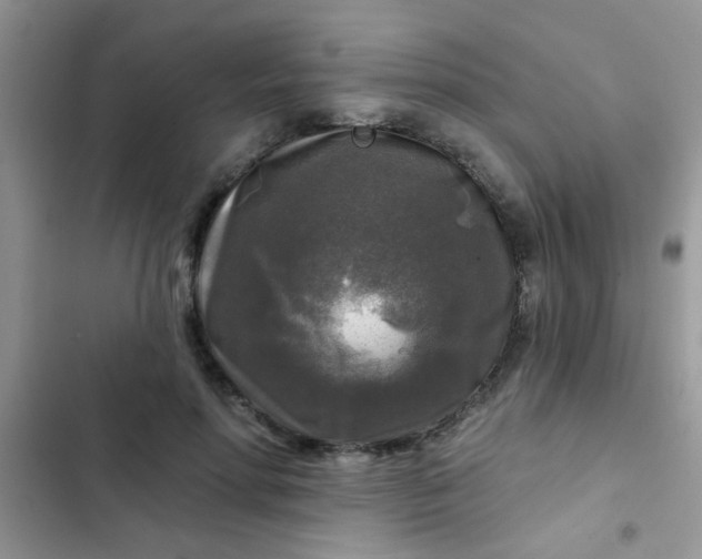 X0000102540598200808221931