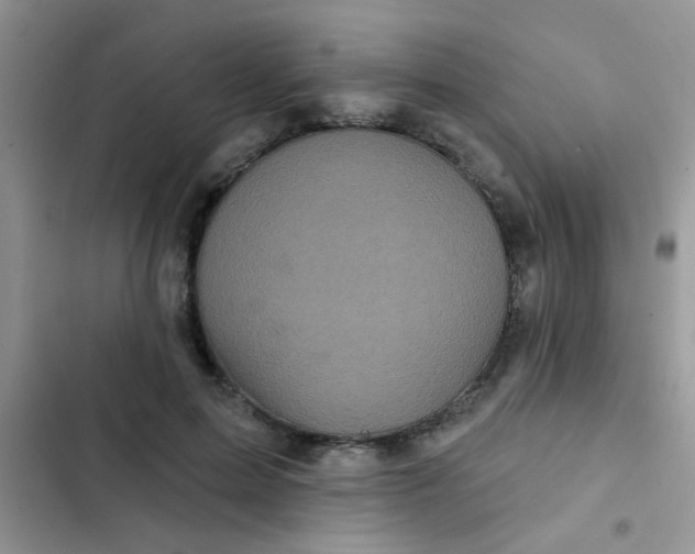 X0000102540599200808221931