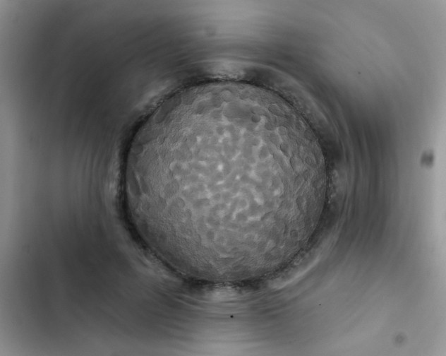 X0000102540600200808221930