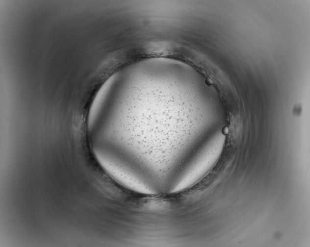 X0000102540601200808221930