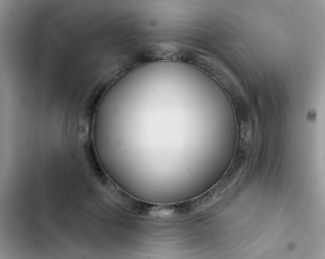 X0000102540602200808221930