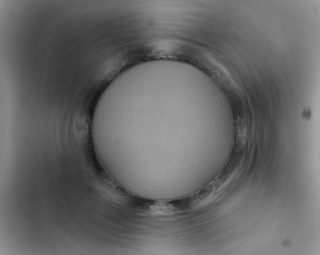 X0000102540603200808221930