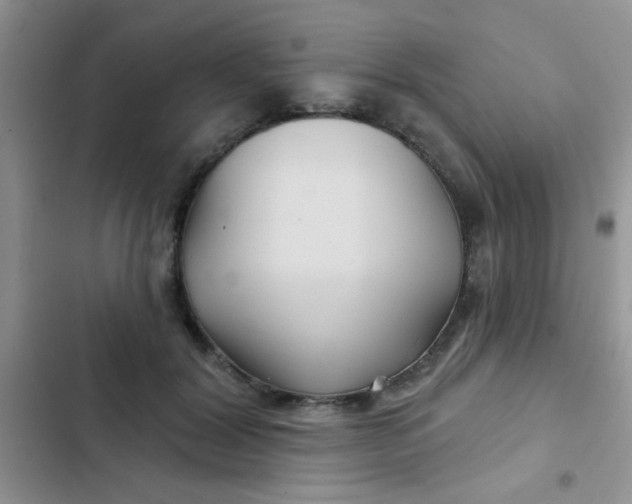X0000102540604200808221930