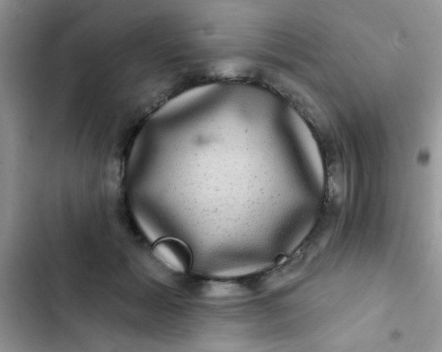 X0000102540605200808221930