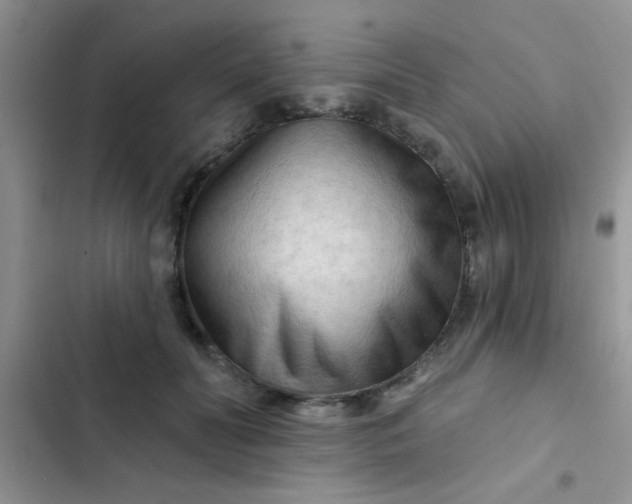 X0000102540606200808221930