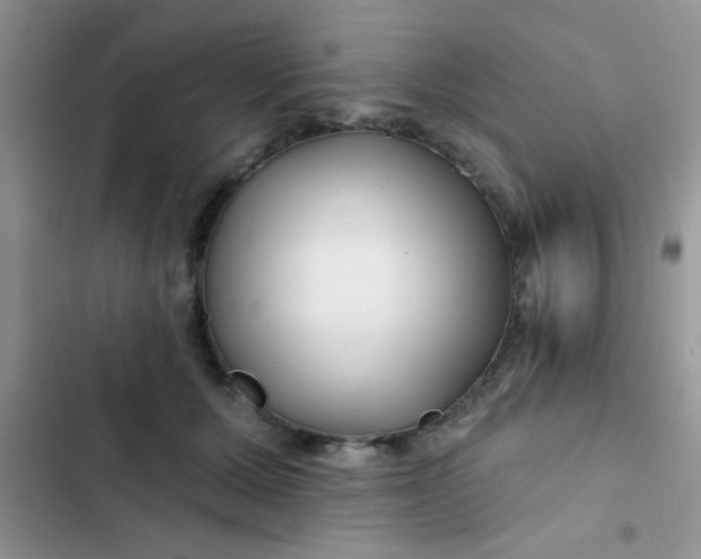 X0000102540607200808221930