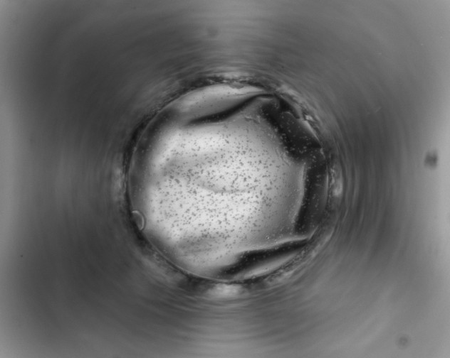 X0000102540609200808221930