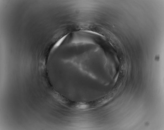 X0000102540610200808221930