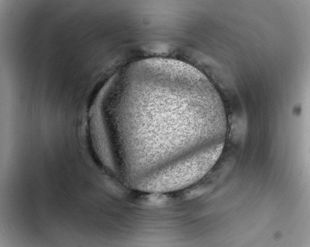 X0000102540612200808221930