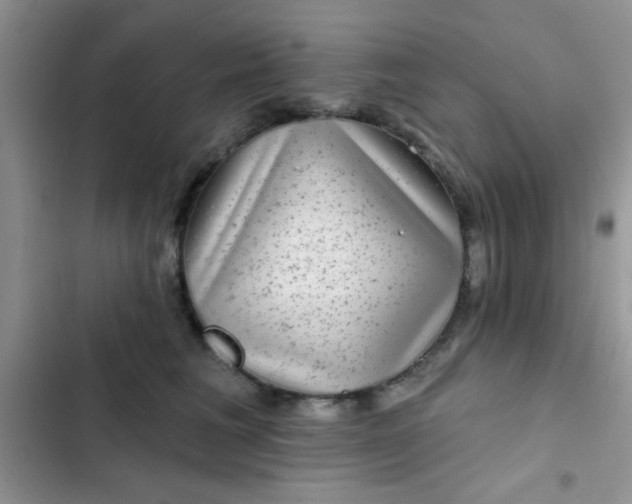 X0000102540613200808221930