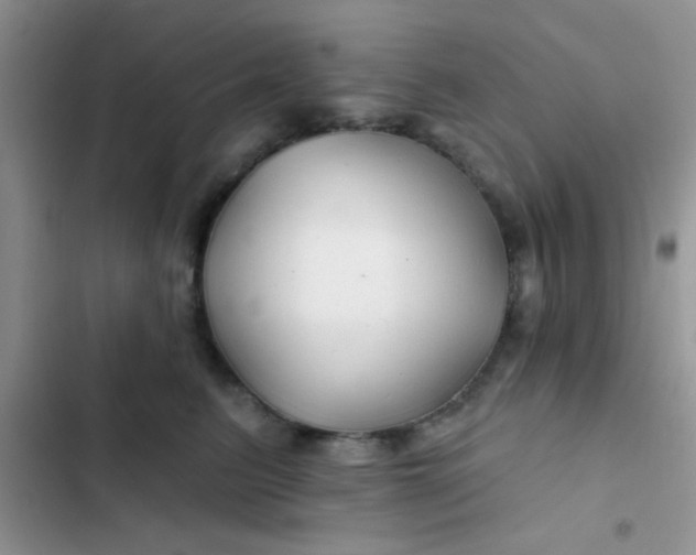 X0000102540615200808221930