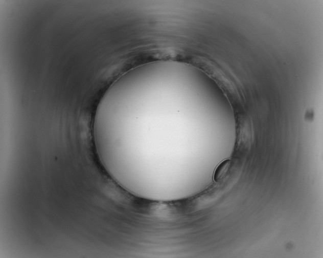 X0000102540616200808221930