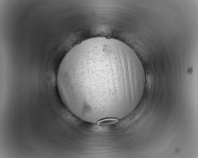 X0000102540617200808221930