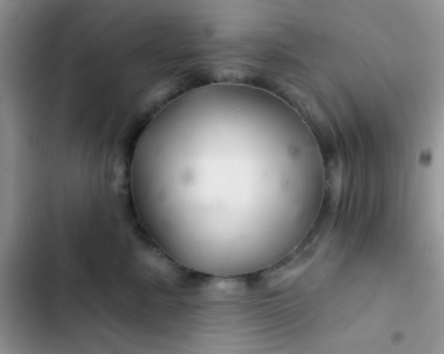 X0000102540619200808221930