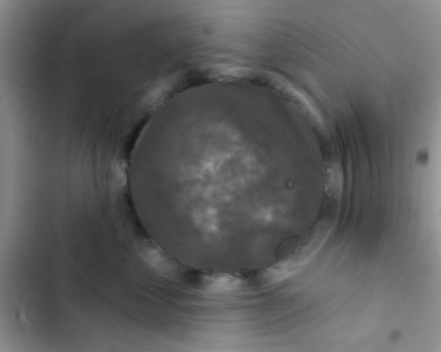 X0000102540621200808221930