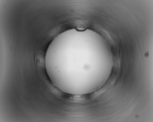 X0000102540622200808221930