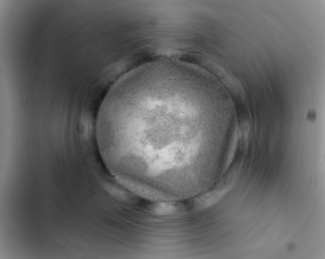 X0000102540623200808221930
