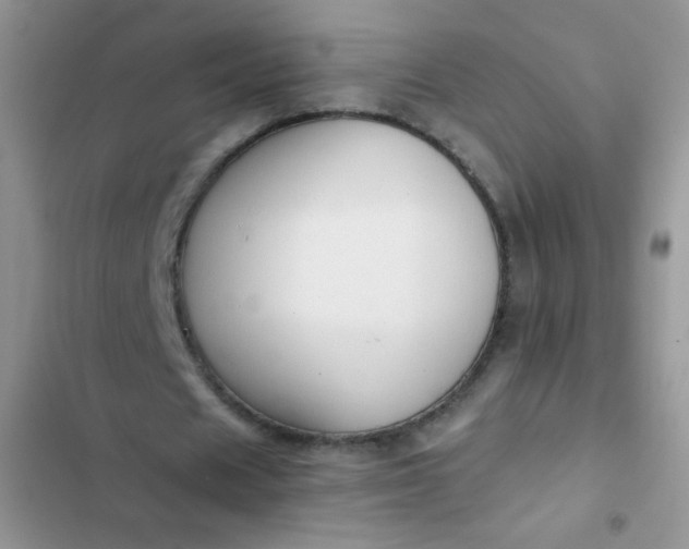 X0000102540625200808221930