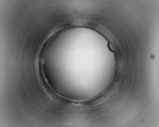 X0000102540626200808221930
