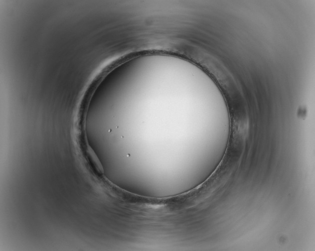 X0000102540628200808221930