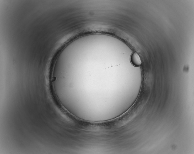 X0000102540629200808221930