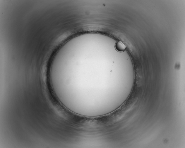 X0000102540631200808221930