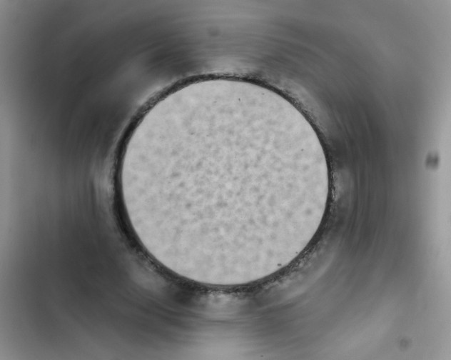 X0000102540632200808221930