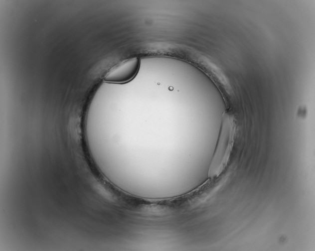 X0000102540633200808221930