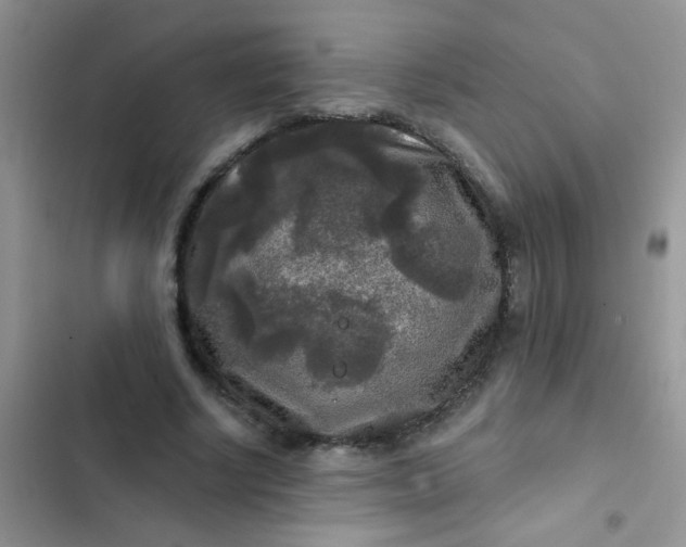 X0000102540634200808221930