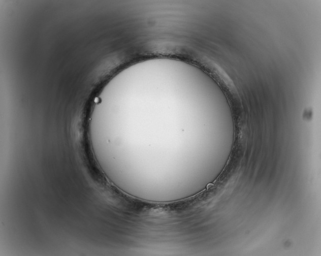 X0000102540635200808221930