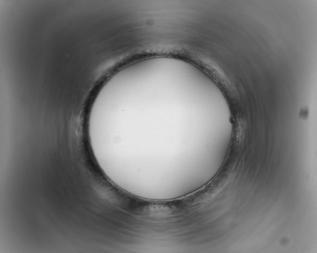 X0000102540636200808221930