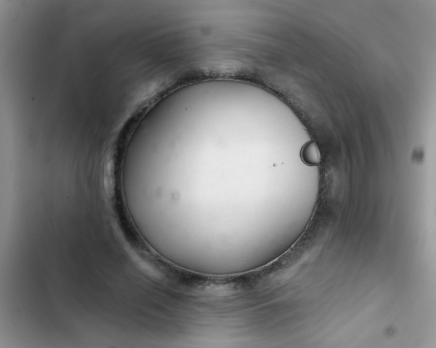 X0000102540638200808221930