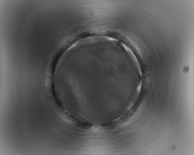 X0000102540641200808221930
