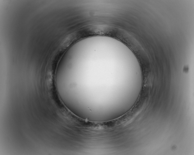 X0000102540646200808221930
