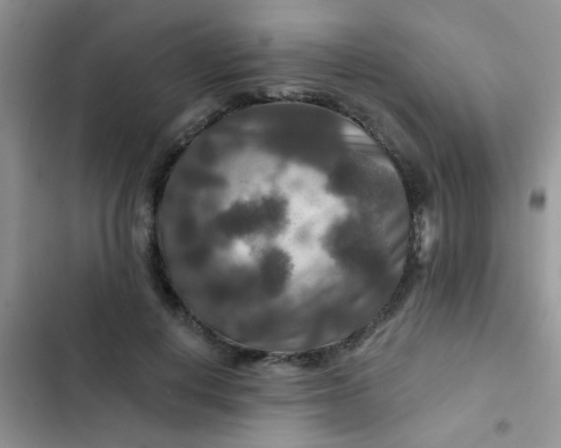 X0000102540648200808221930