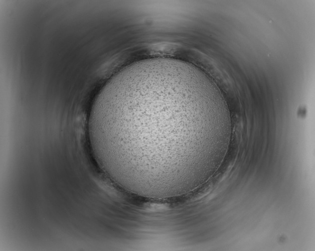 X0000102540649200808221930