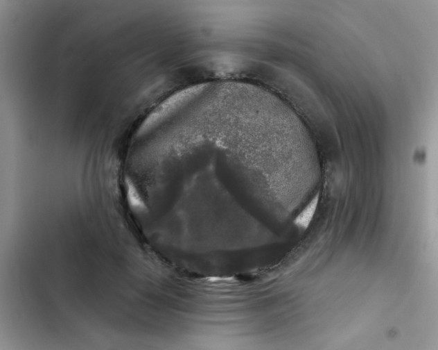 X0000102540650200808221930