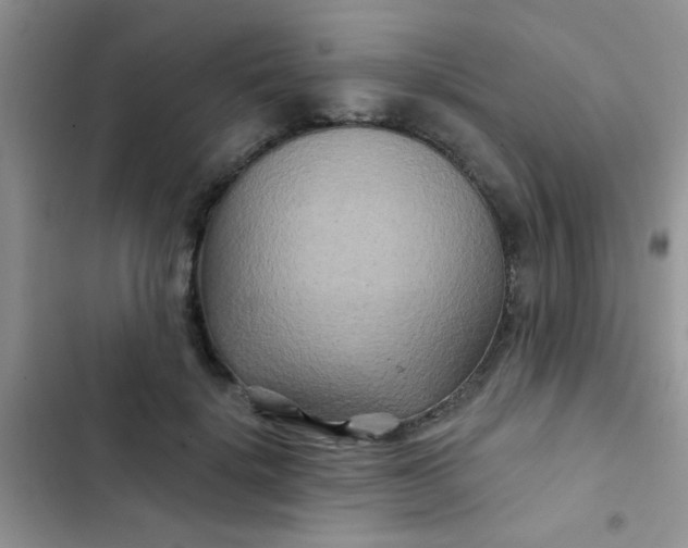 X0000102540652200808221930