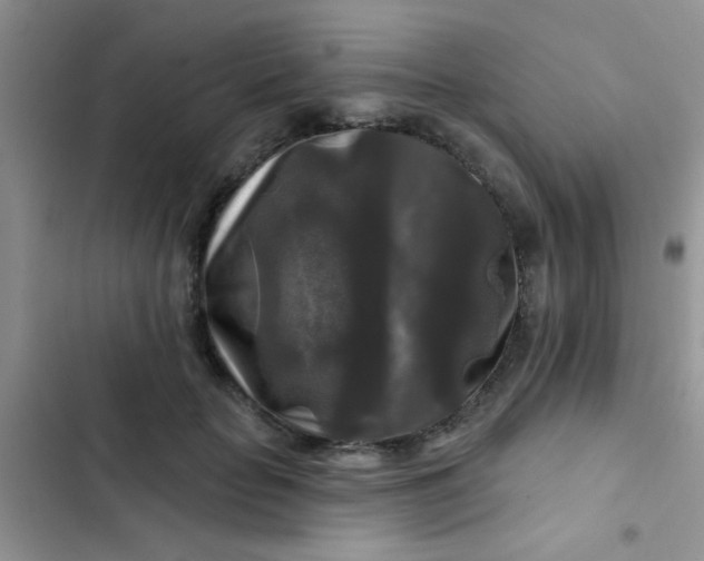 X0000102540653200808221930