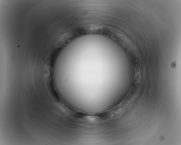 X0000102540654200808221930
