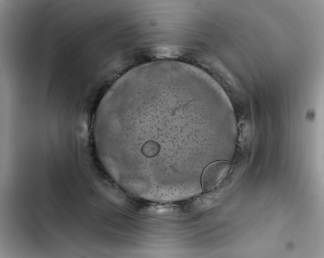 X0000102540655200808221930