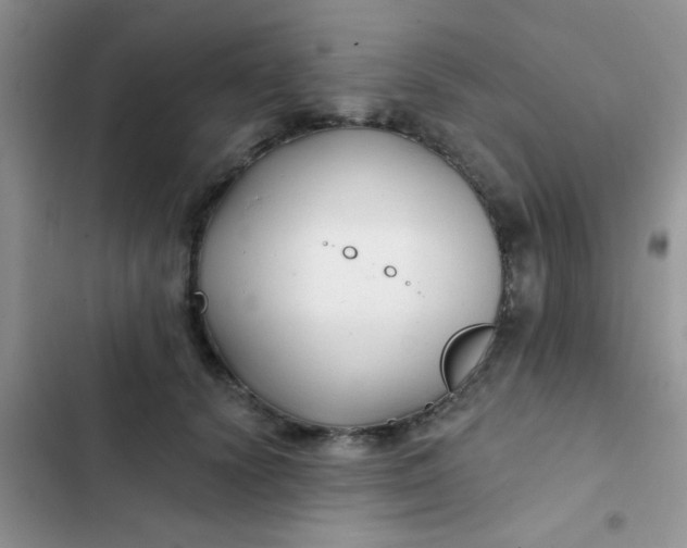 X0000102540656200808221930