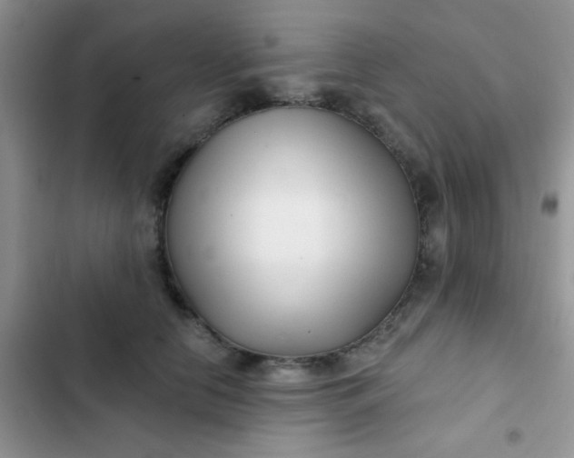 X0000102540658200808221930