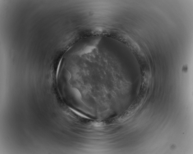 X0000102540659200808221930