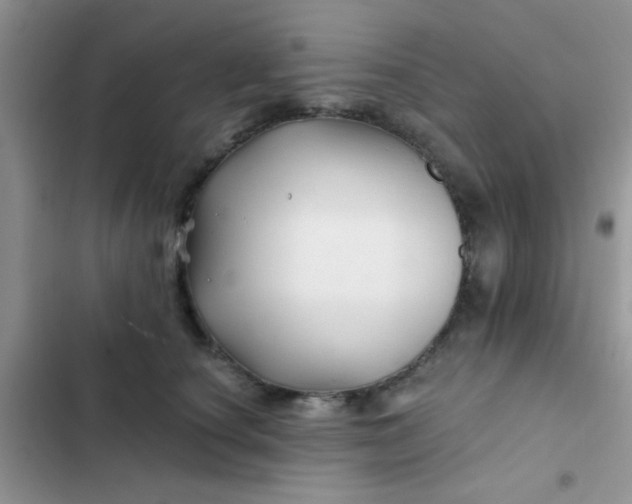 X0000102540660200808221930