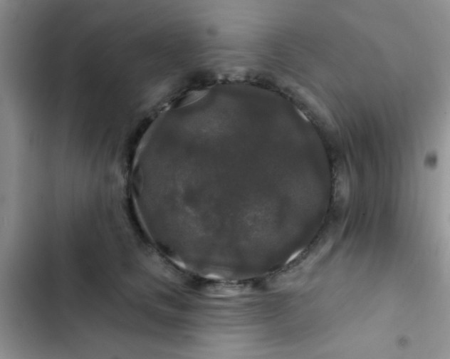 X0000102540661200808221930