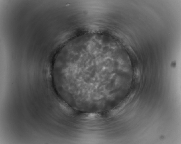X0000102540663200808221930