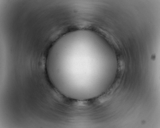 X0000102540664200808221930