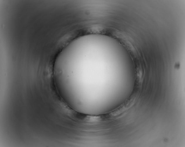 X0000102540665200808221930